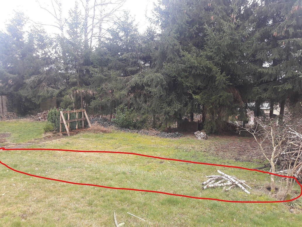 Gartenfläche mit Gras, linke Holzkonstruktion, rechte Asthaufen; roter Umriss markiert Bereich.