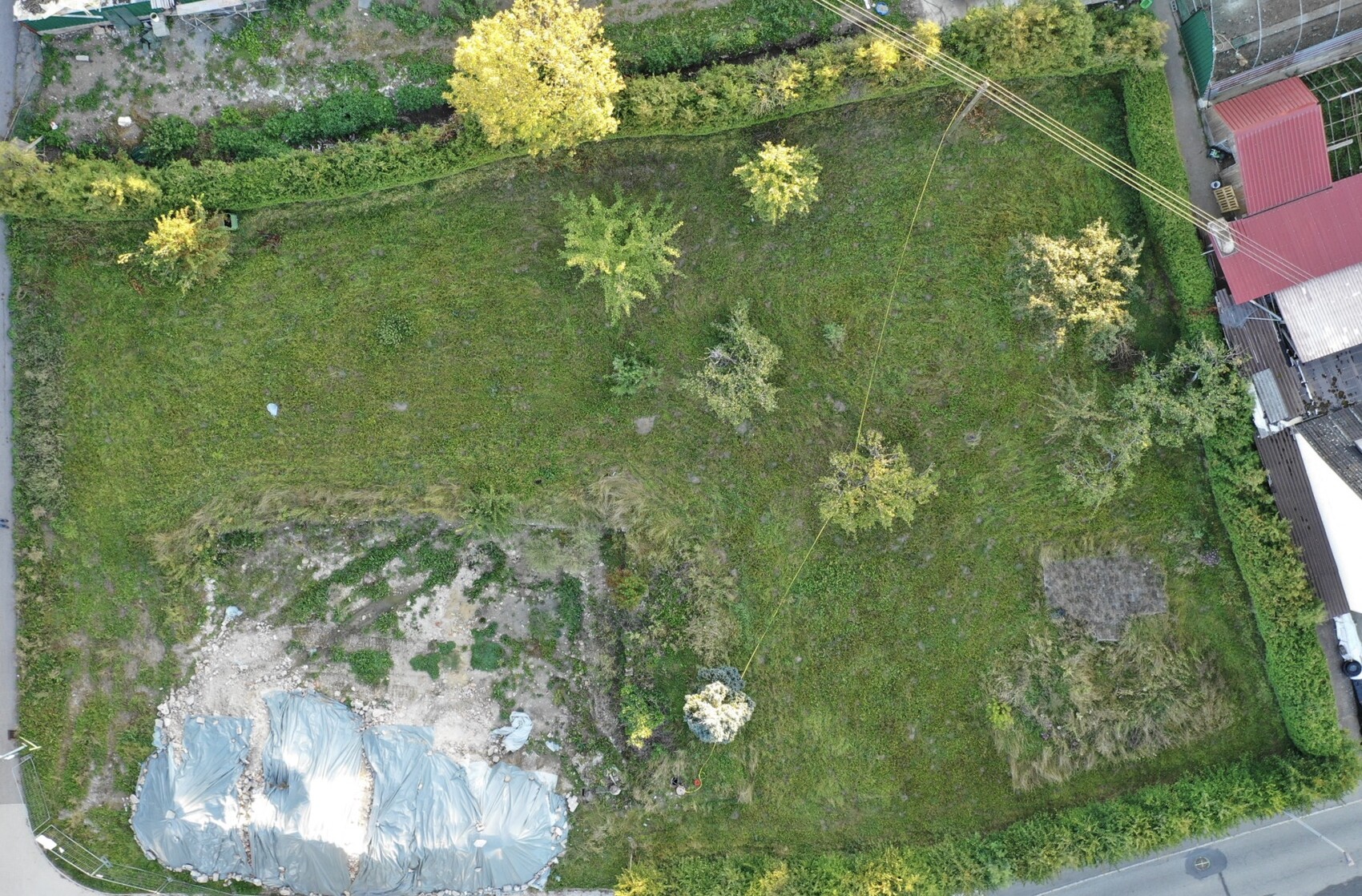 Aerial view of a green garden with trees, surrounding buildings, and a blue tarp over rubble.