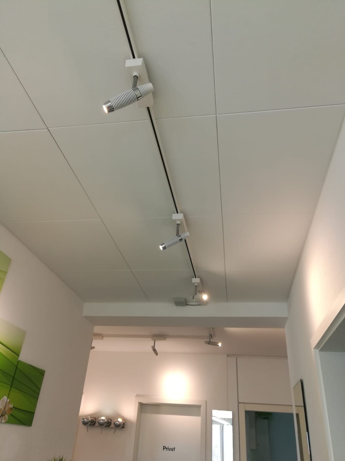 White ceiling with adjustable spotlights on a rail; interior with private door.