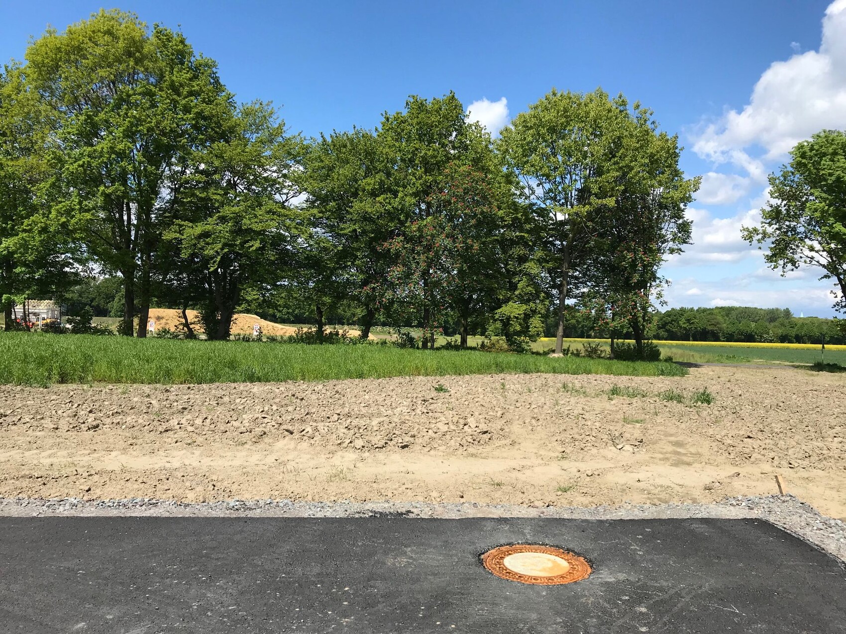 Asphalt path in the foreground with an orange cover, behind it grass, trees, and blue sky.
