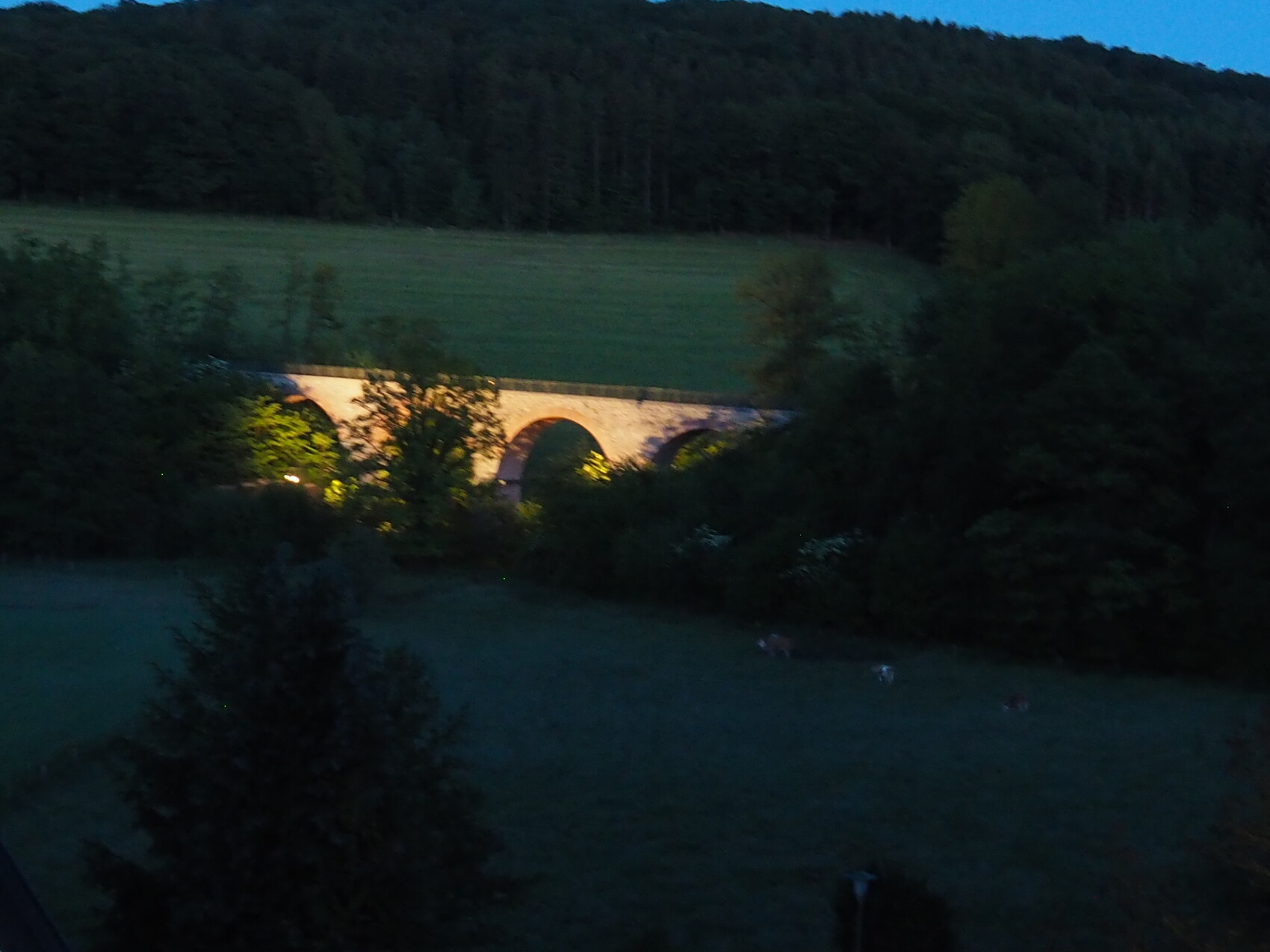 Evening landscape with an illuminated stone arch bridge in the forest and pastureland.