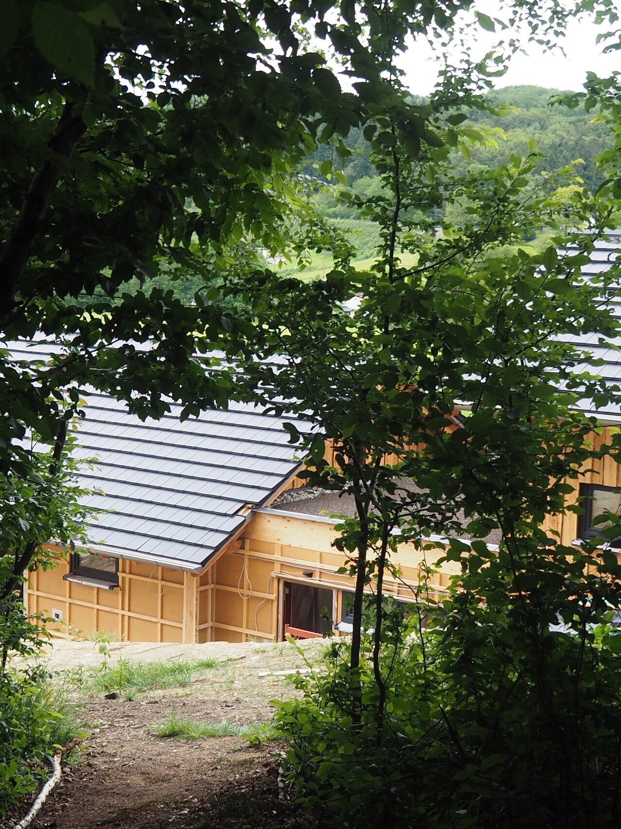 Wooden house under construction surrounded by treetops; gray roof visible.