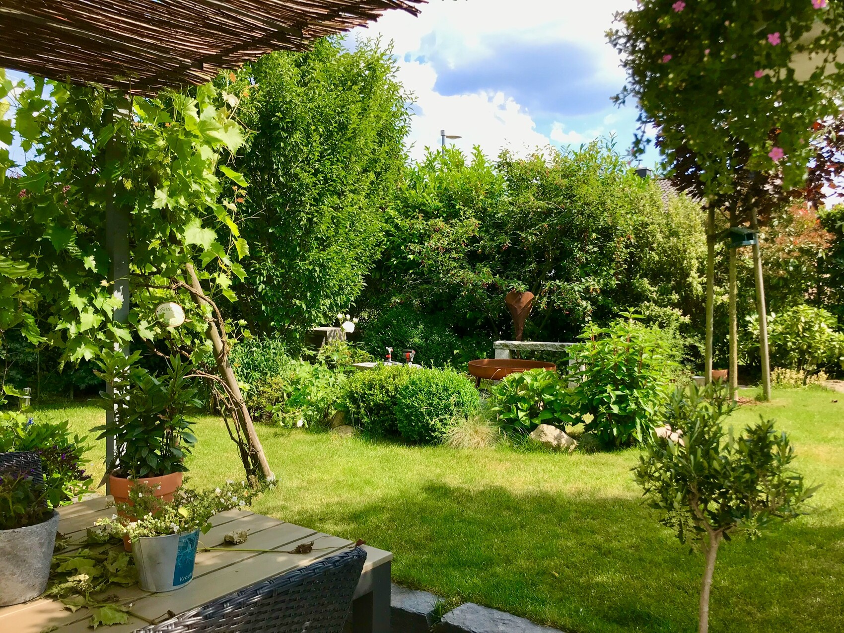 Garden with grass, trees and shrubs; table with potted plants in the foreground.