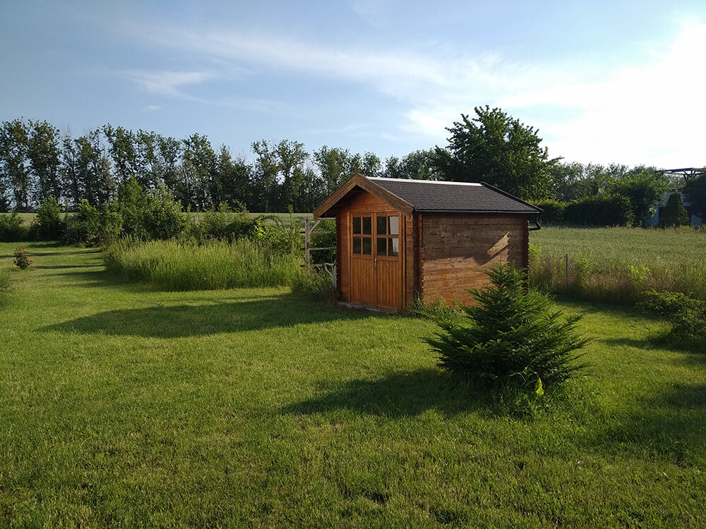 Wooden shed in green garden, tree line in the background, sunny day