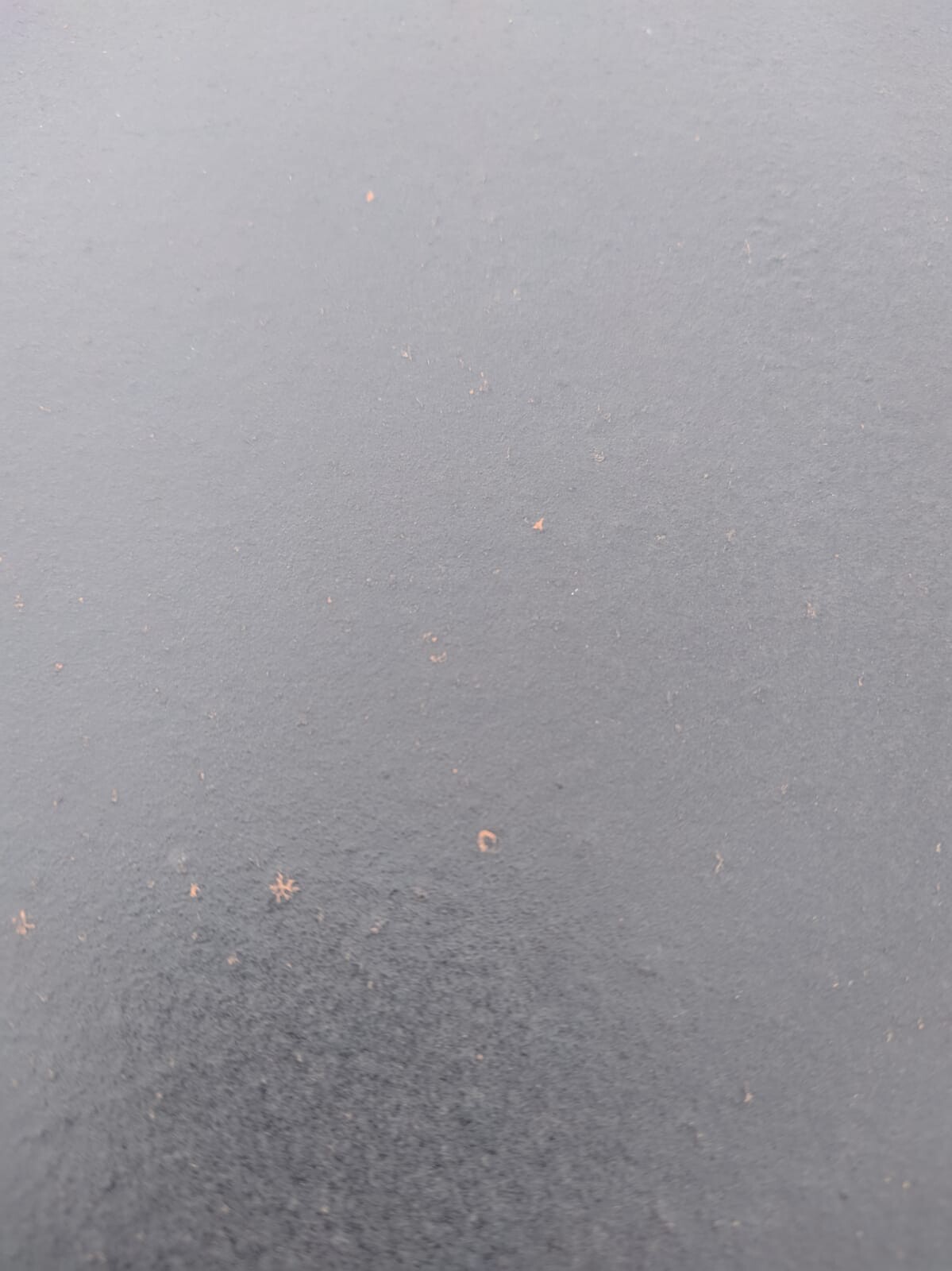 Close-up of a dark terrace surface with small orange spots.