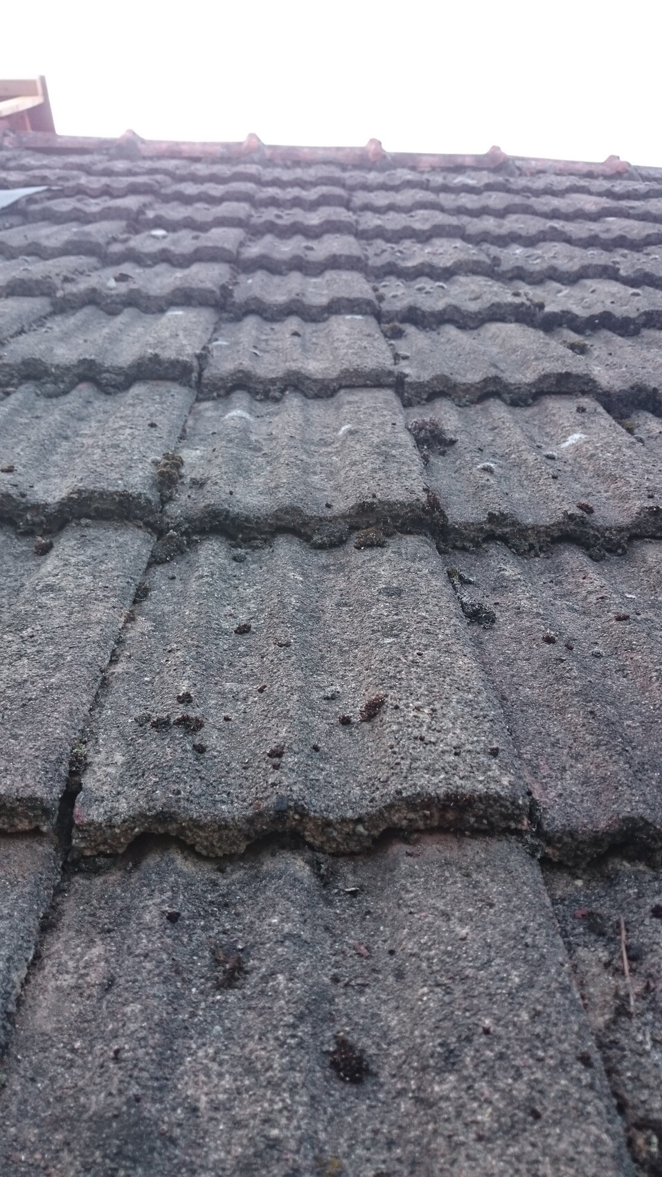 Close-up of gray roof tile with dirt and cracks, looking upward