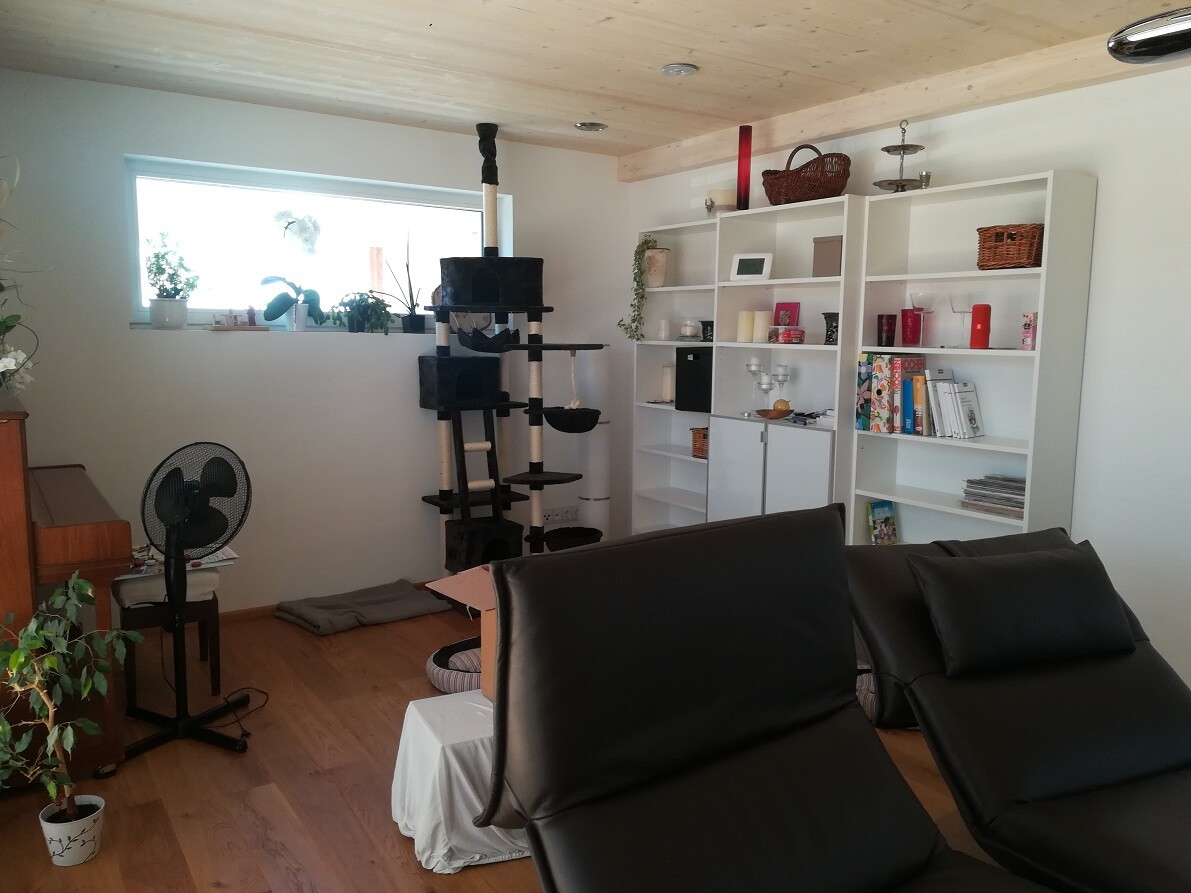 Bright living room with cat tree, white shelves, plants, and black leather armchairs.