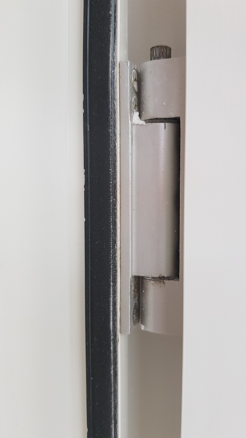 Close-up of a metal door hinge, gray, on a white door frame with screws.