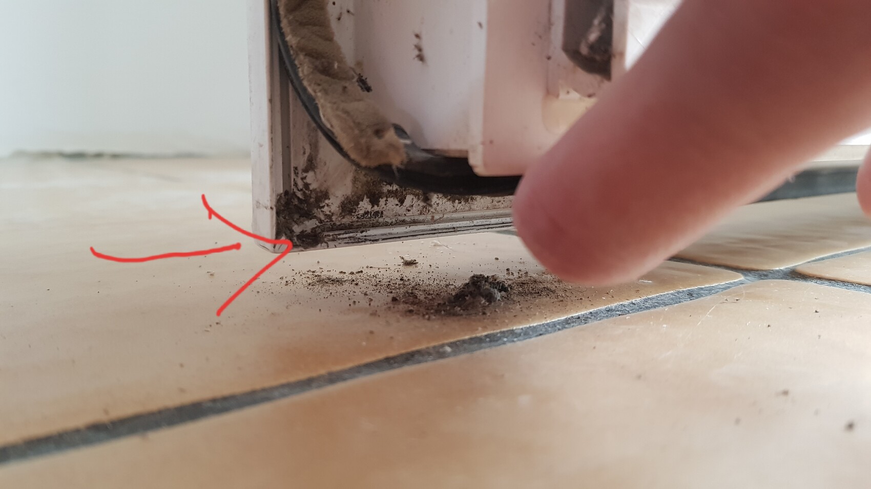 Dirt and dust in the door gap on the floor next to tiles; a finger is lying beside it.