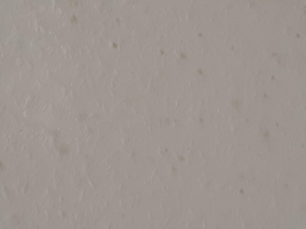 Close-up of a light gray wall with fine unevenness and stains.