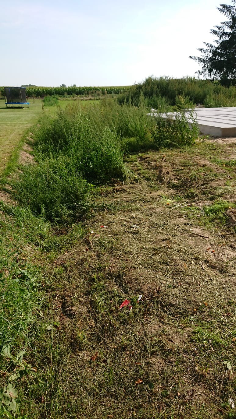 Green construction site outdoors with grass, bushes and trampoline on the left