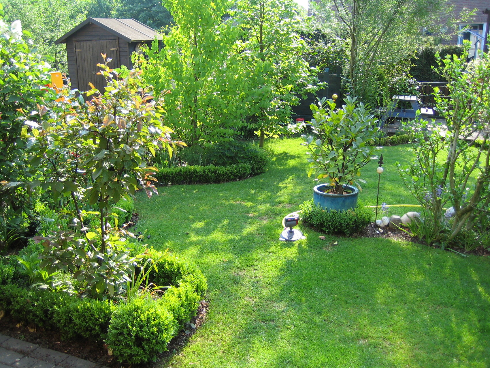Garten mit grünem Rasen, Bäumen, Sträuchern, blauer Pflanzkübel und Gartenhaus im Hintergrund.