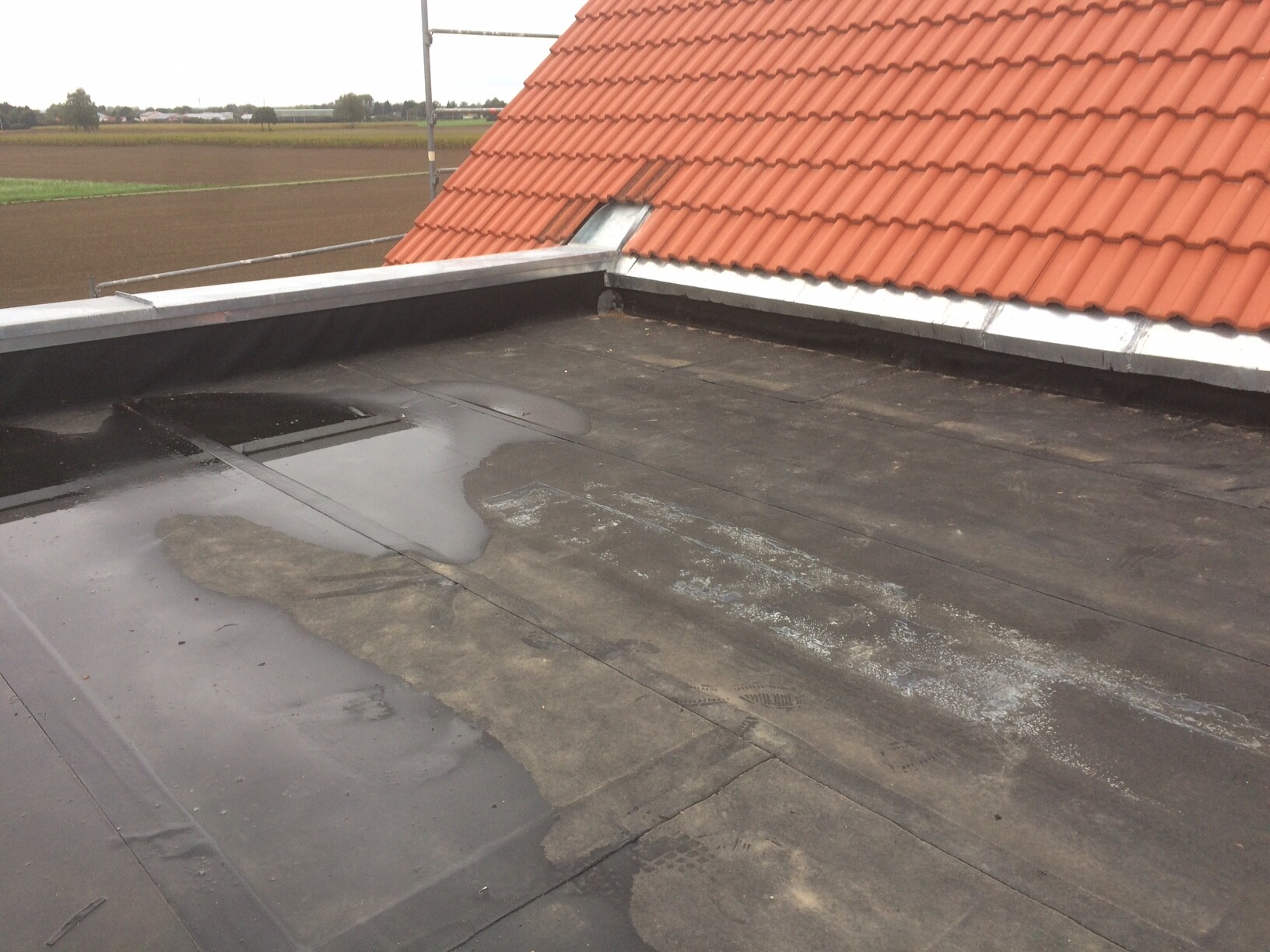 Flat roof with black covering, puddles; red tiled roof in the background, rural fields.