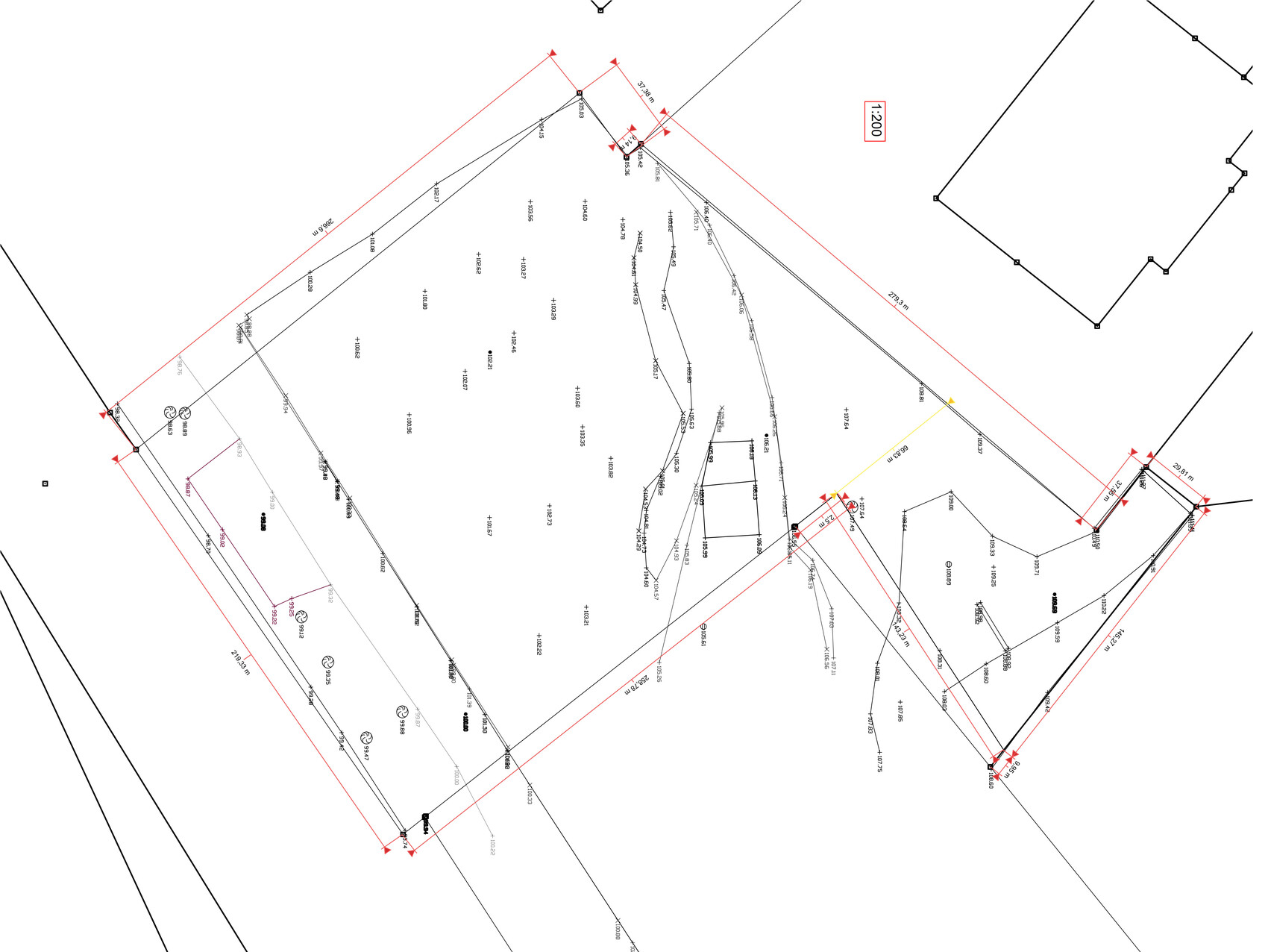 Survey site plan with measurement points, red dimension lines, scale 1:200.