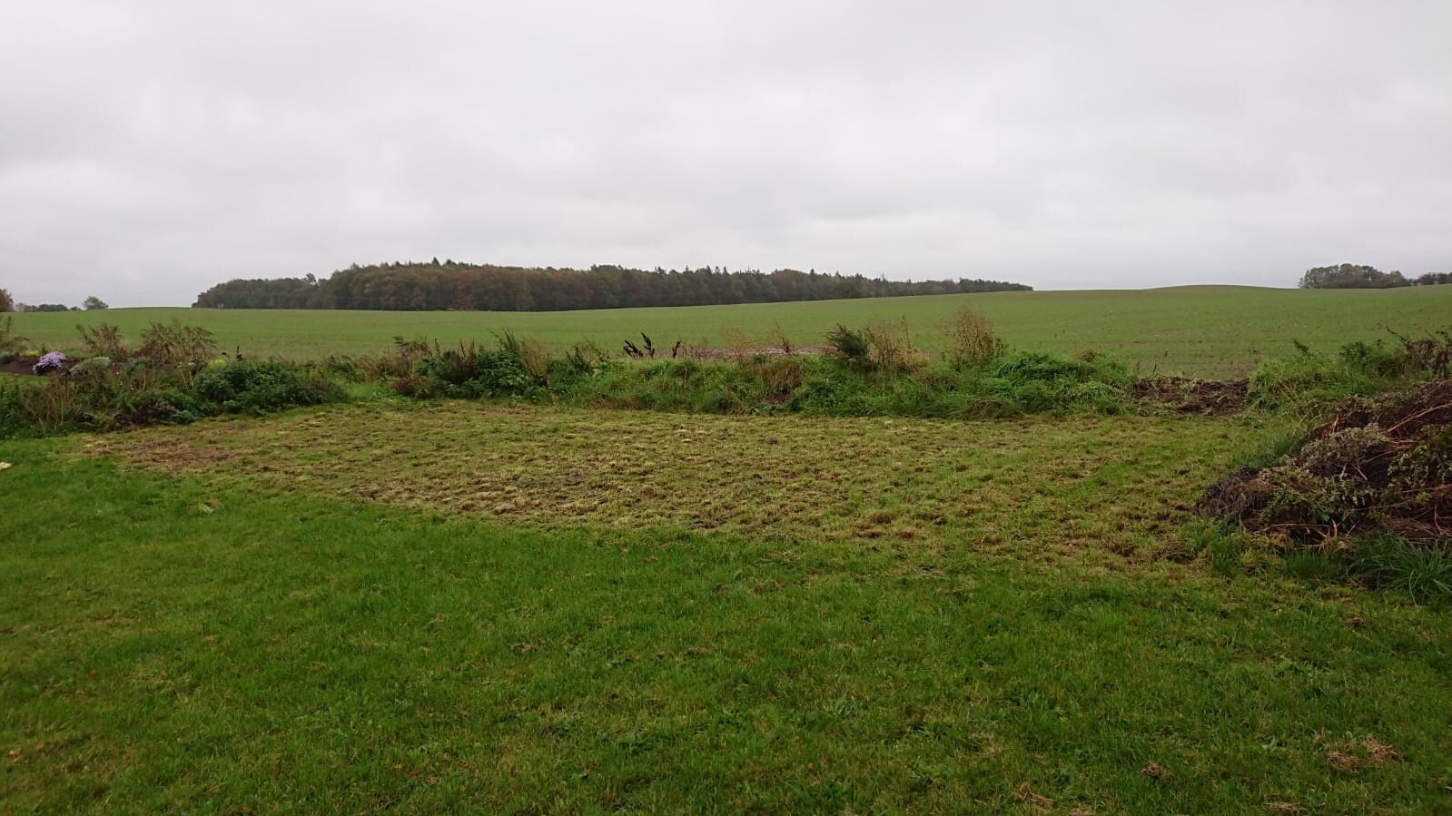 Green field with grass in the foreground, hedge edge, further field and tree line on the horizon under clouds.