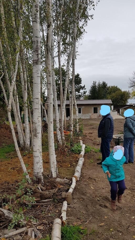 Group of adults and a child standing next to birch trees, along a wooden beam line.