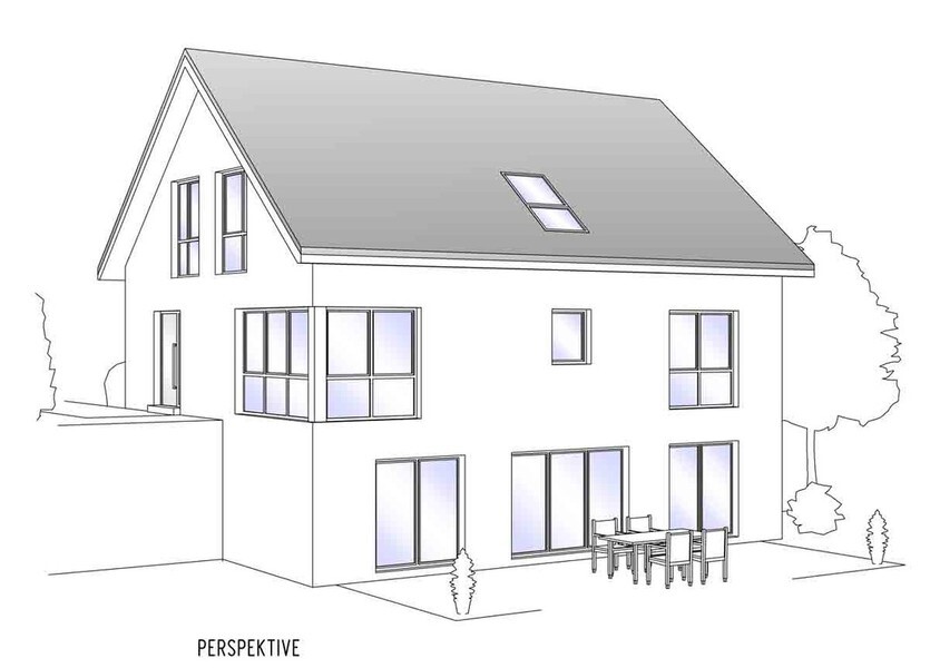 Two-story modern house illustration with skylights, large window fronts, and terrace.