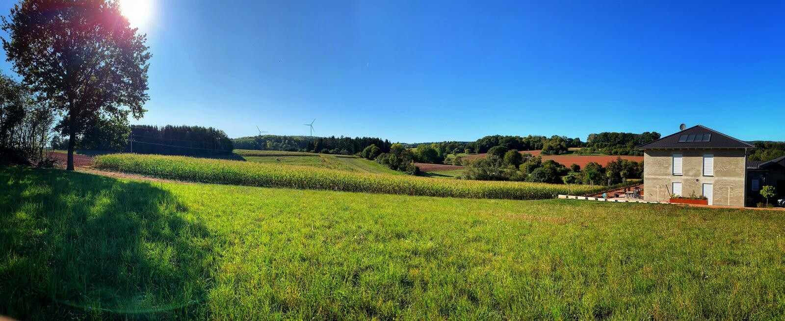 Green field in the foreground, tree group on the left, wind turbines in the background, light-colored house on the right.