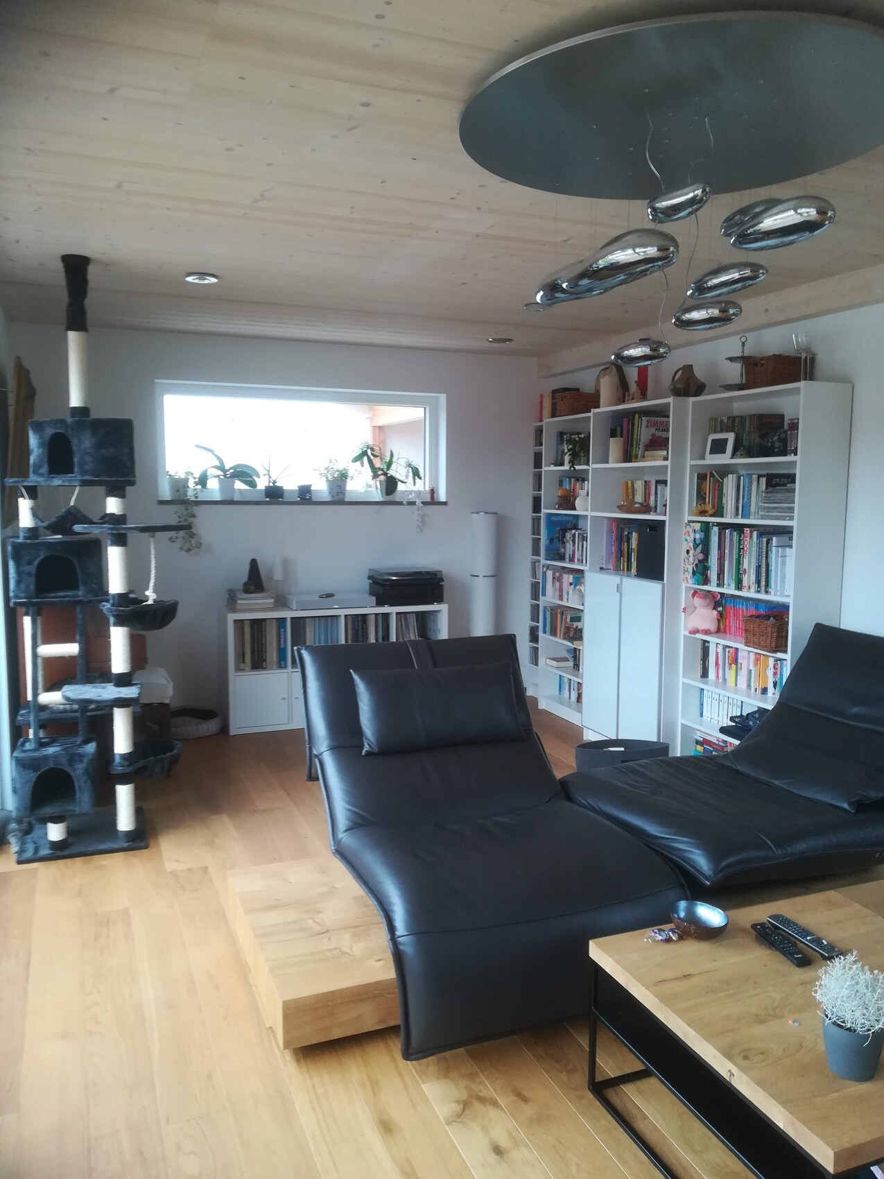 Modern living room with black leather sofa bed, wooden floor, white bookshelf, plants on the window.