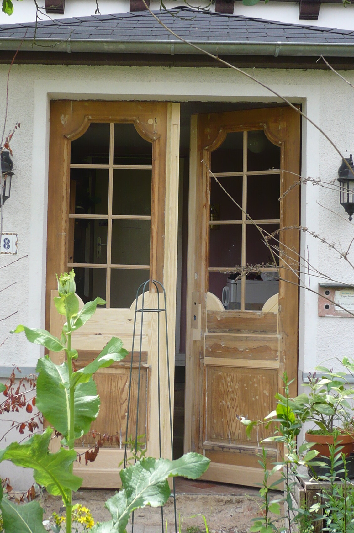 Opened double wooden doors with glass windows at the entrance of a house; foreground with green plants.