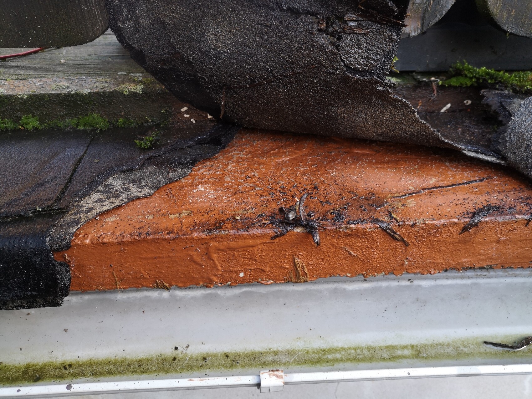 Roof edge with torn black roofing felt over orange-colored substrate; moss at the edge.