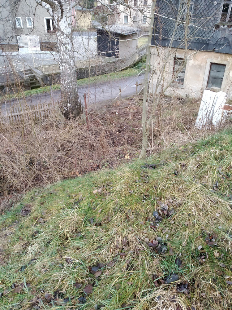 Slope with dry grass, leaves, and shrubs; behind it a road, fence, and buildings.