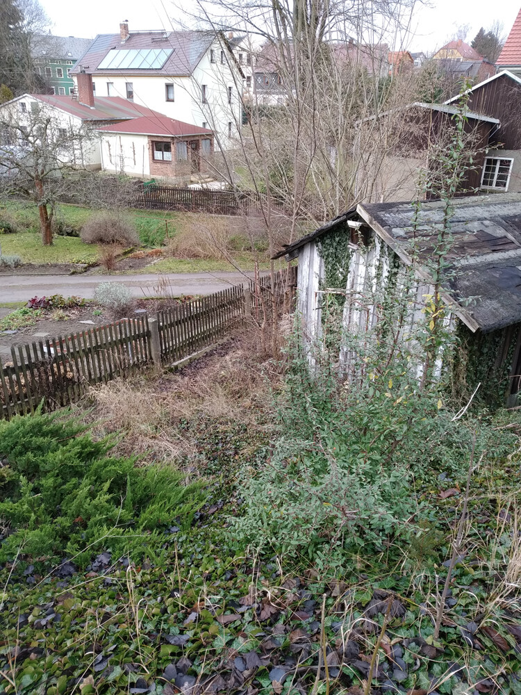 Overgrown garden with a small shed, wooden fence, and houses in the background.