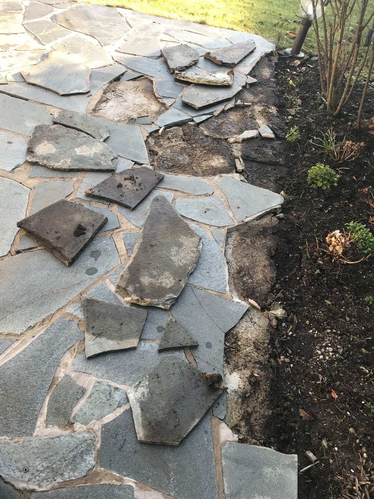 Unregelmäßiger Steinpfad mit brüchigen Platten, Erdreich daneben, Gartenpflanzen.