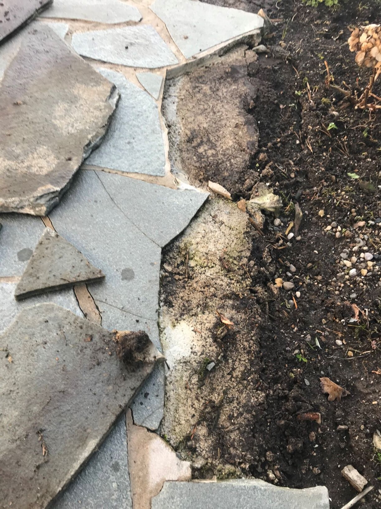 Zerbrochene graue Steinplatten bilden unregelmäßiges Pflaster neben dunkler Erde im Garten.