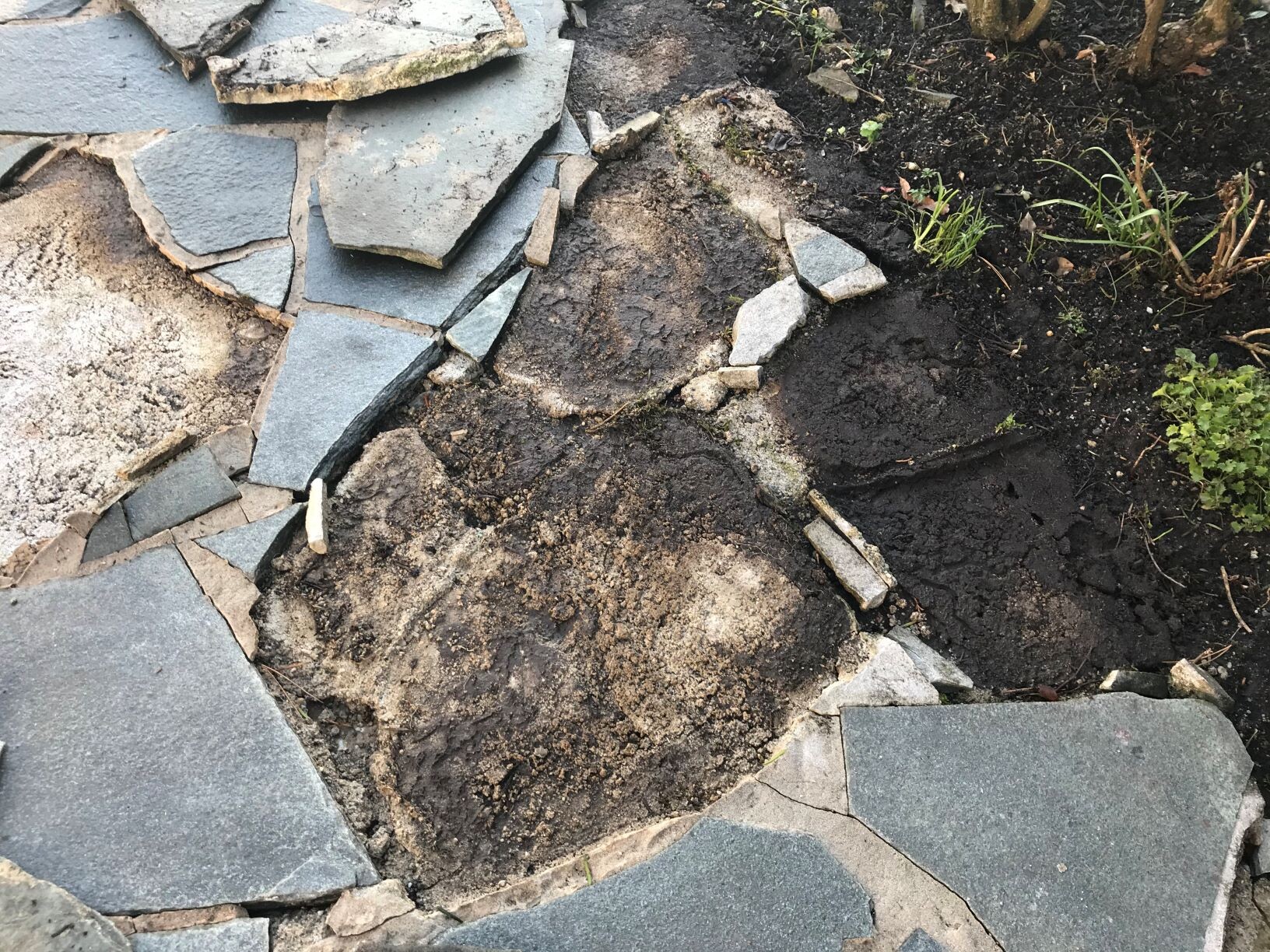 Zerbrochene graue Schieferplatten auf Gartenweg, Erdreich und kleine Pflanzen sichtbar.