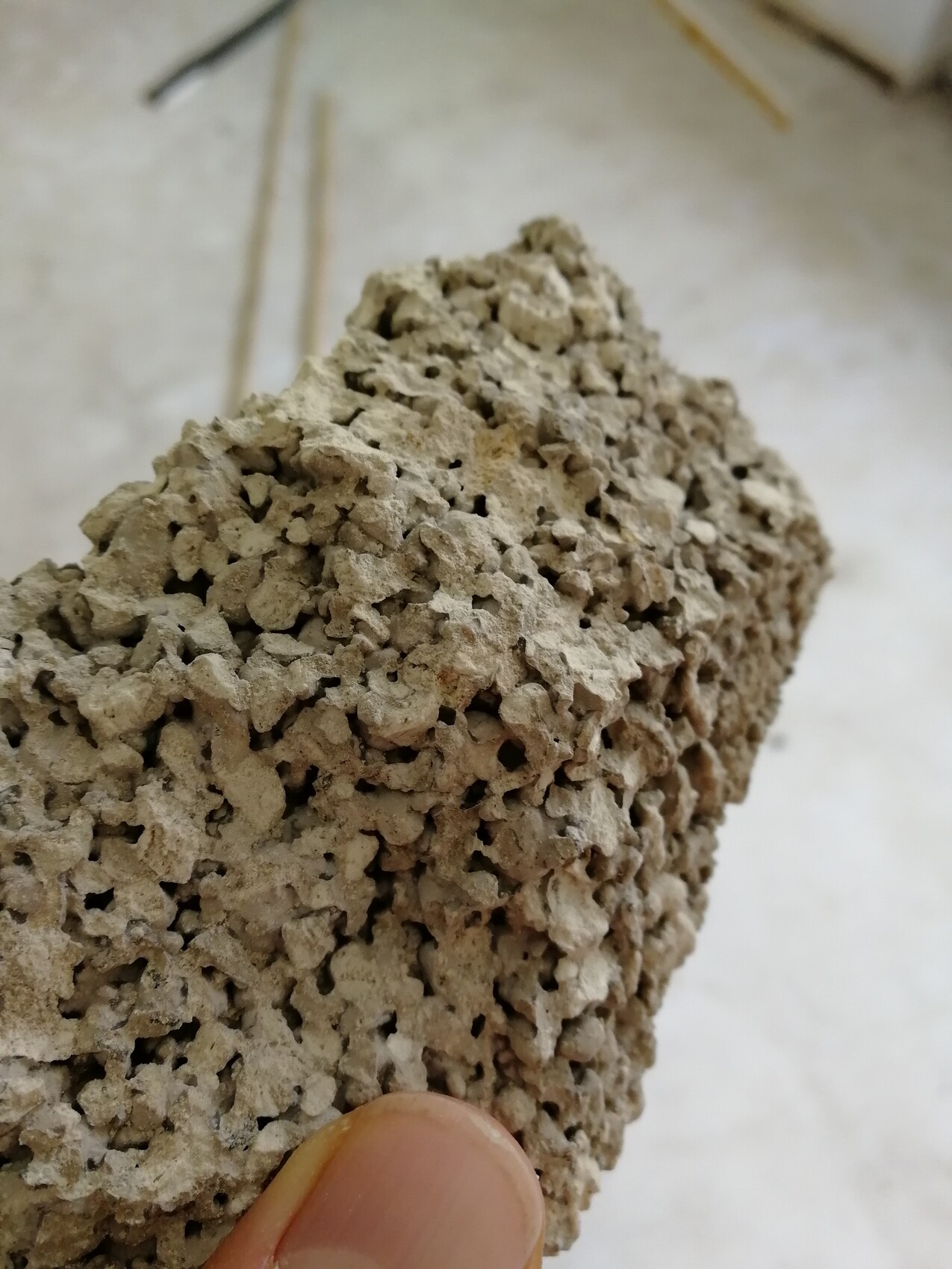 Porous brown-gray rock with many cavities, held in hand.