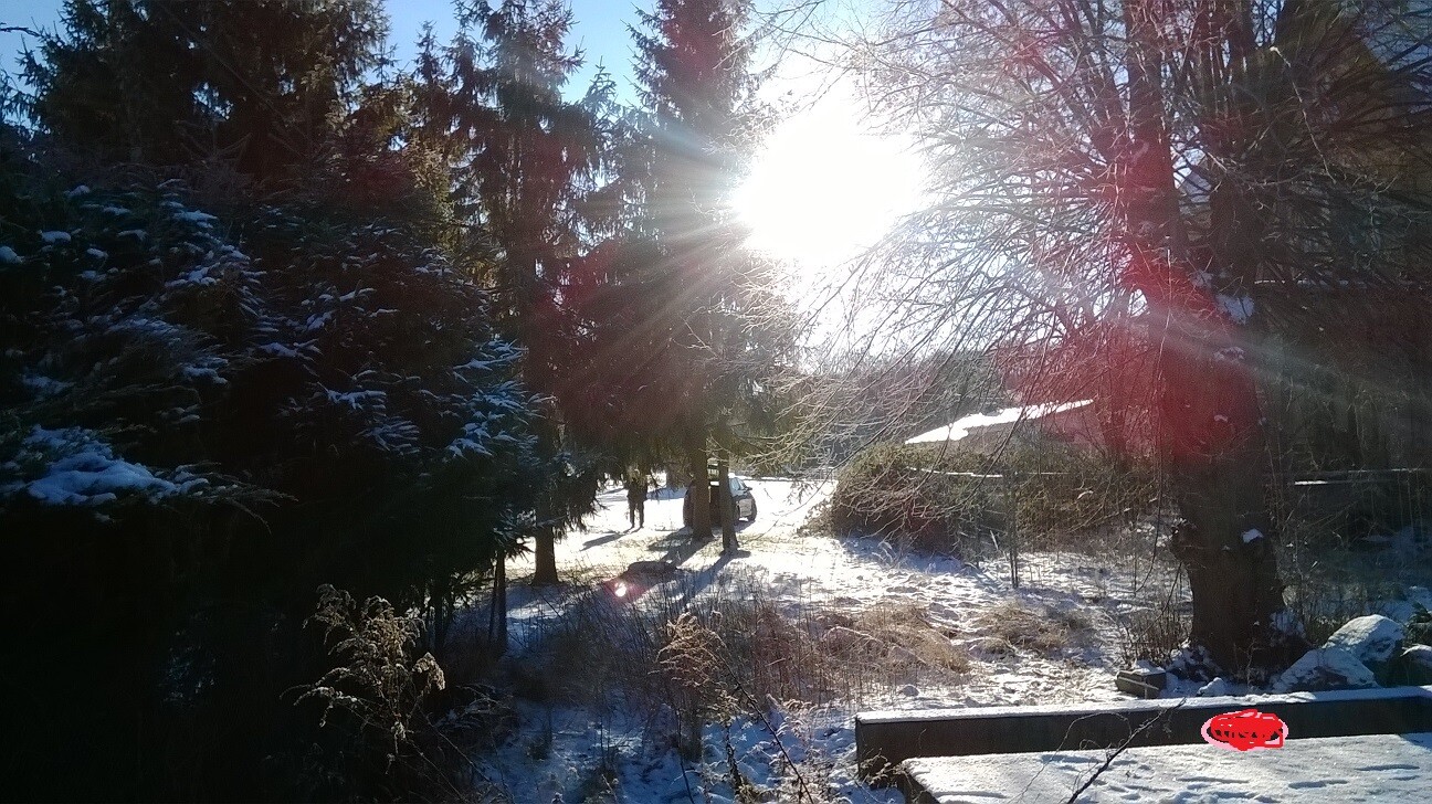 Winter forest landscape with snow, sun behind trees, several people walking on a path.
