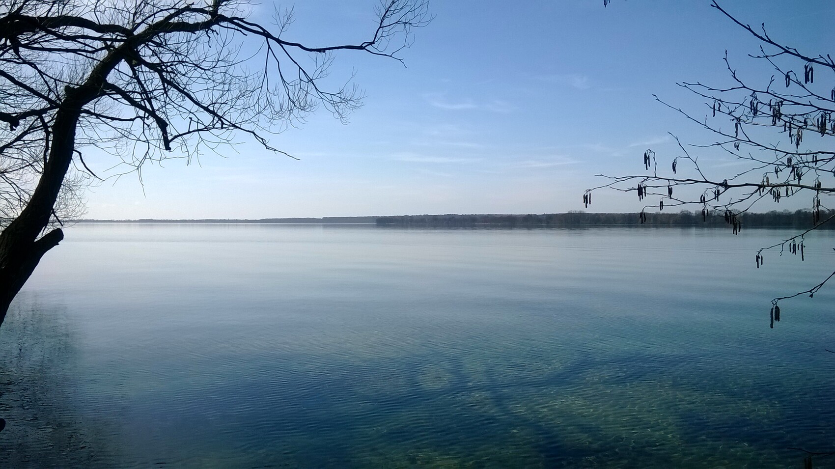 Calm lake landscape with clear water, shoreline trees left and right, blue sky.