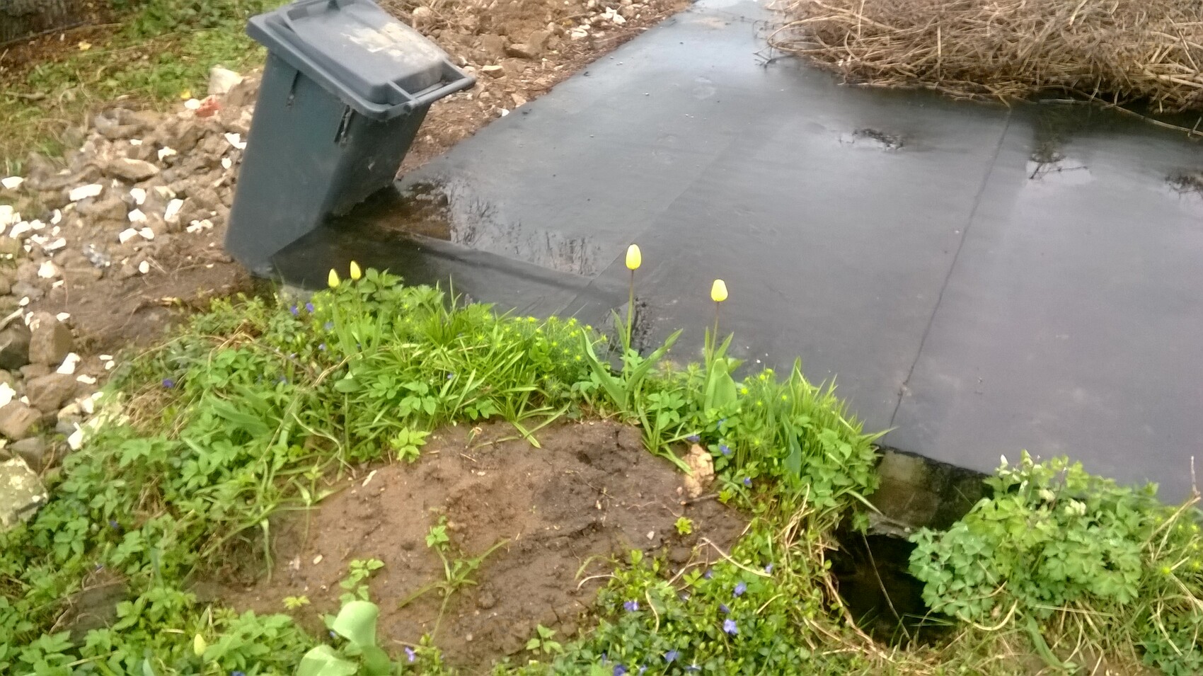 Waste container tipping at the edge of a pond with black liner, surrounded by plants.