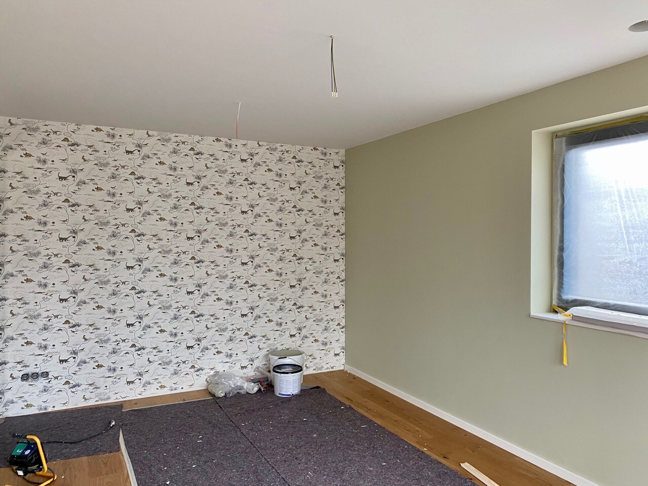 Renovation room: wall with cat pattern, green wall, window covered, painting supplies on the floor.
