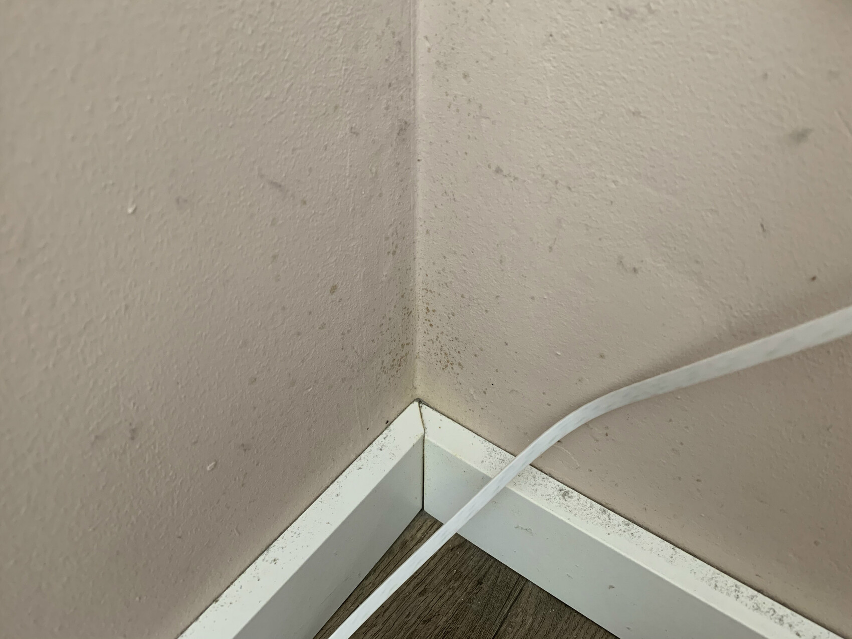 Wall corner with stains at the base area and visible cable.