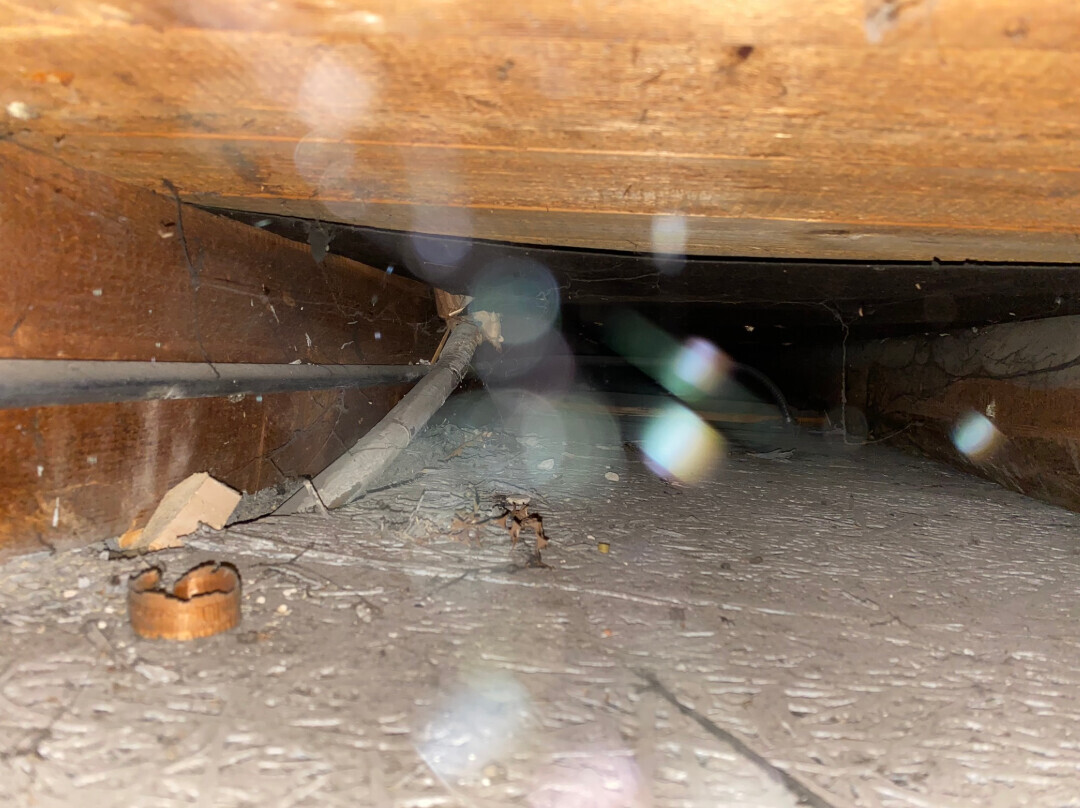 Attic/cellar with old piping, dust, and cobwebs under wooden beams