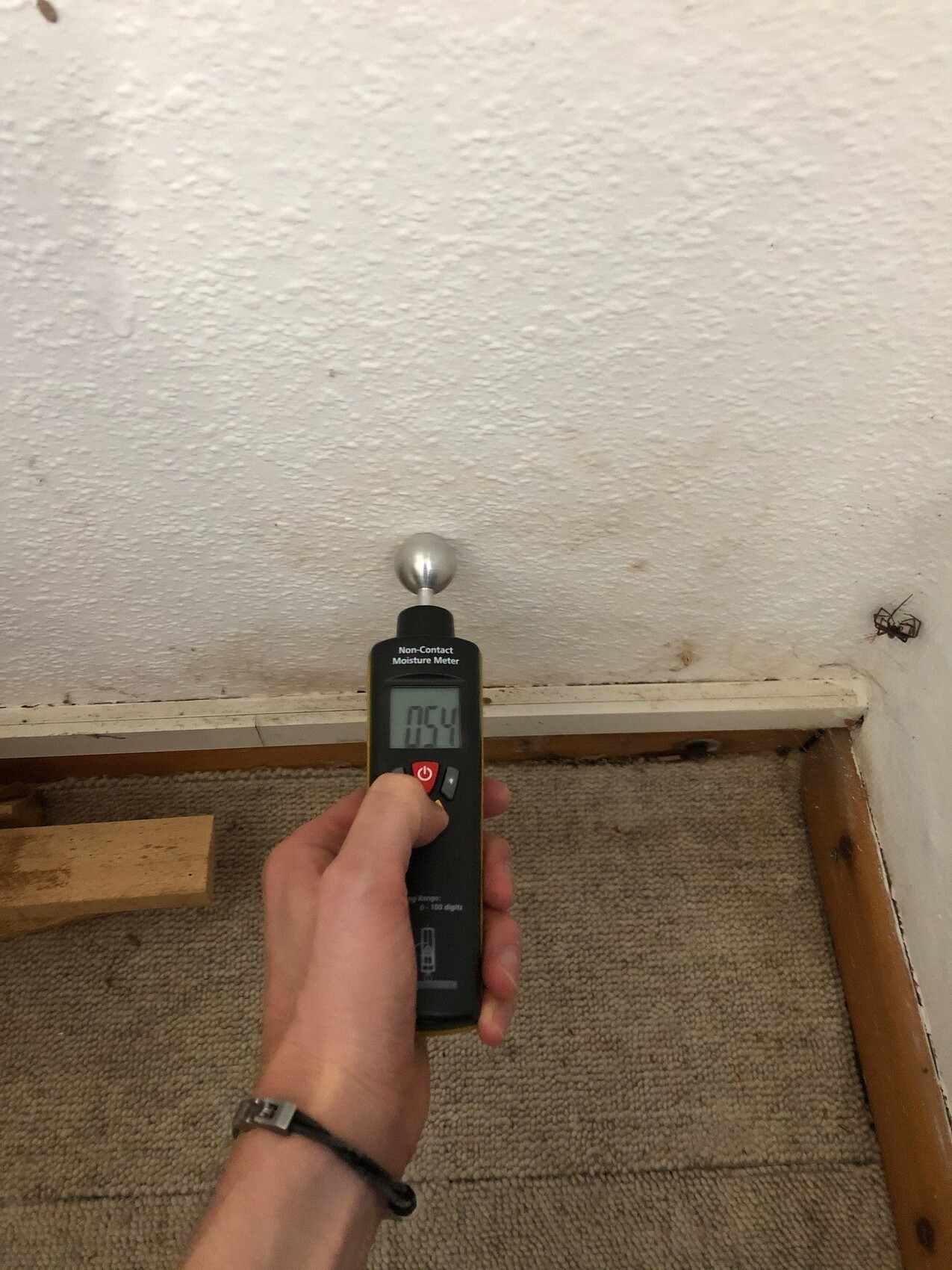 Eine Hand hält ein Feuchtigkeitsmessgerät mit kugelförmiger Sonde gegen eine Wand; Anzeige 0.54.