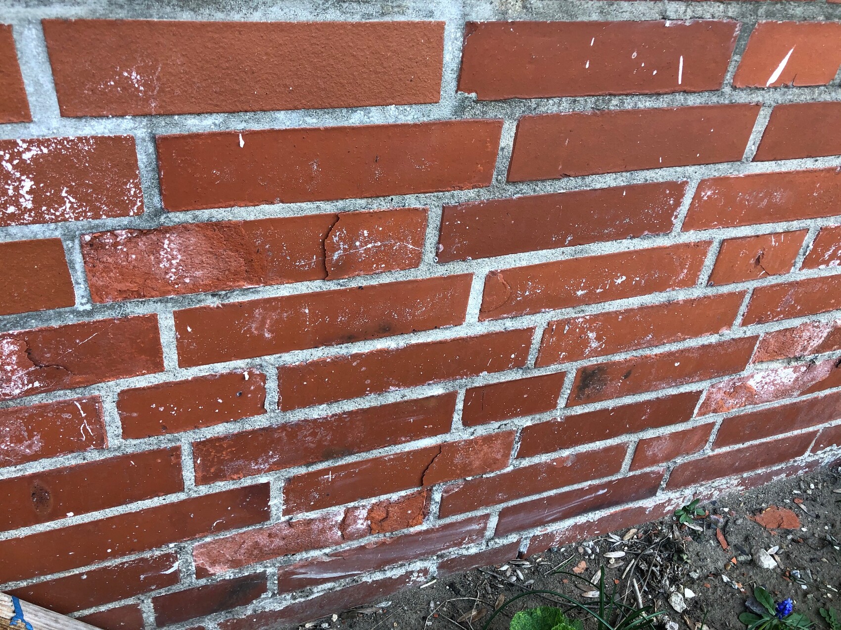 Rote Ziegelwand mit grauer Fugenmörtel, Abplatzungen und Erdreich unten mit Steinen.