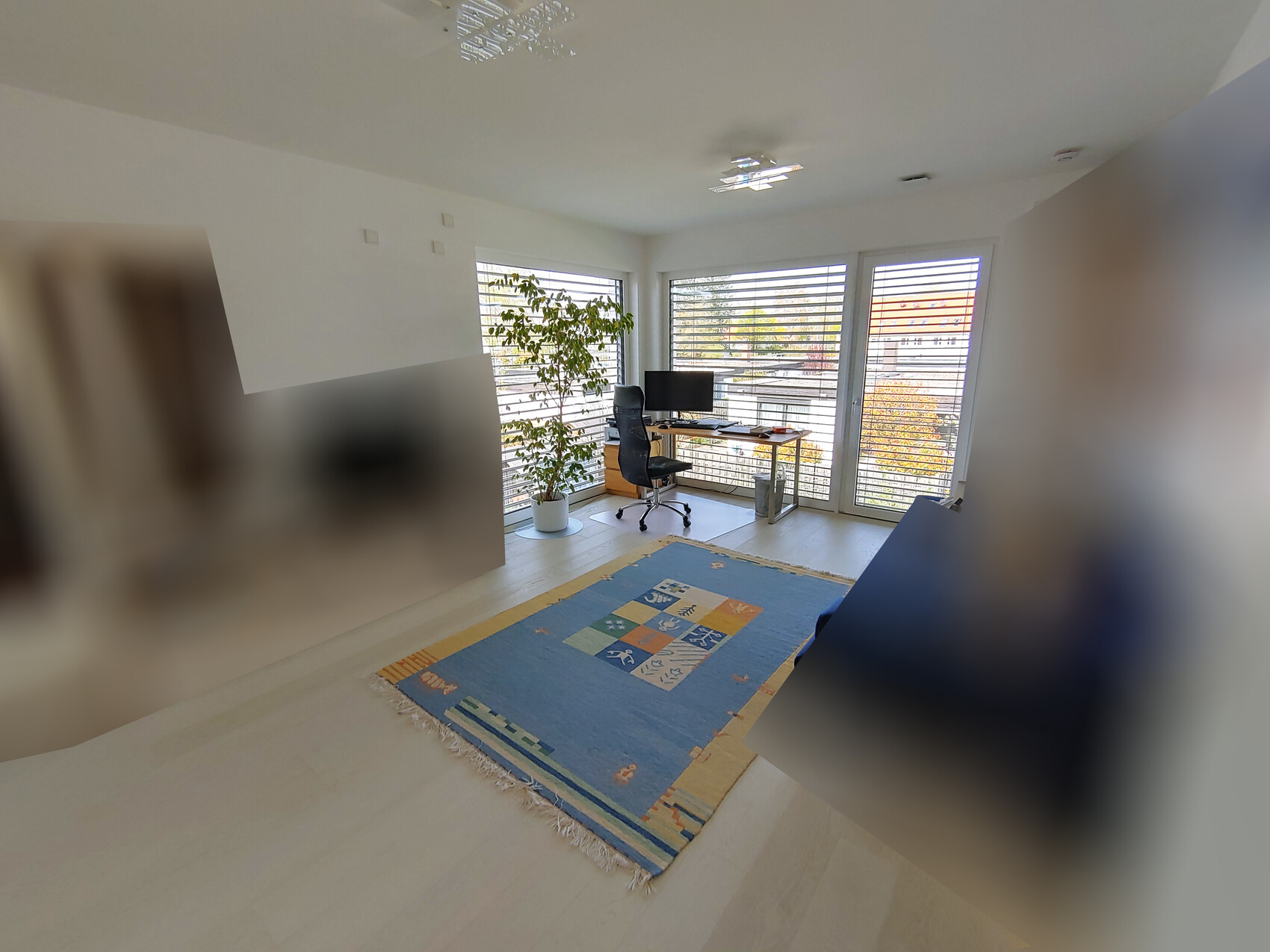 Bright home office with large window front, desk, monitor, office chair, and green plant.