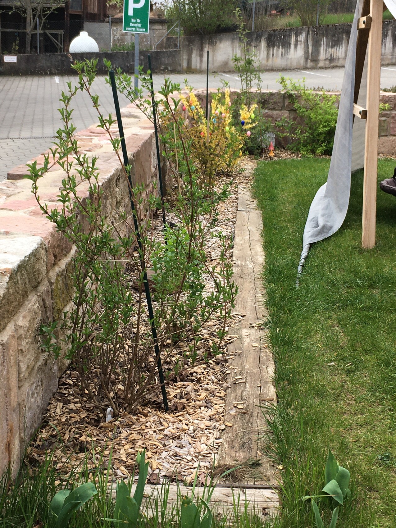 Gartenbeet mit jungen Sträuchern entlang Steinmauer, Mulchboden und Gras daneben.