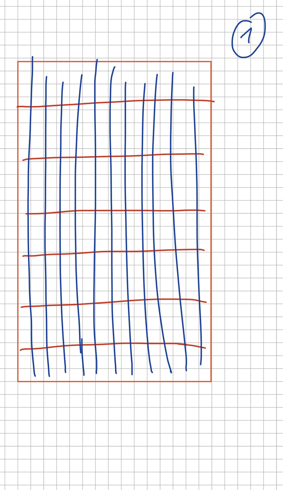 Red rectangle with many blue vertical lines and red horizontal lines on a grid pattern.