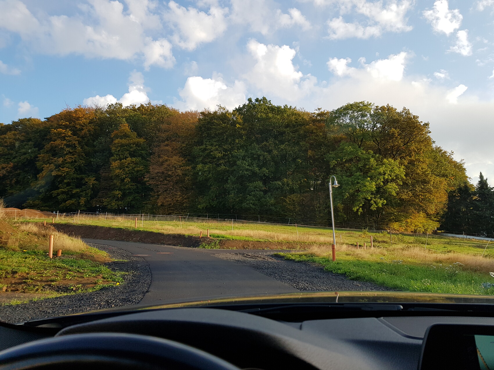 Blick aus dem Auto auf eine kurvige Asphaltzufahrt, Grasflächen, Herbstwald und Straßenlampe.