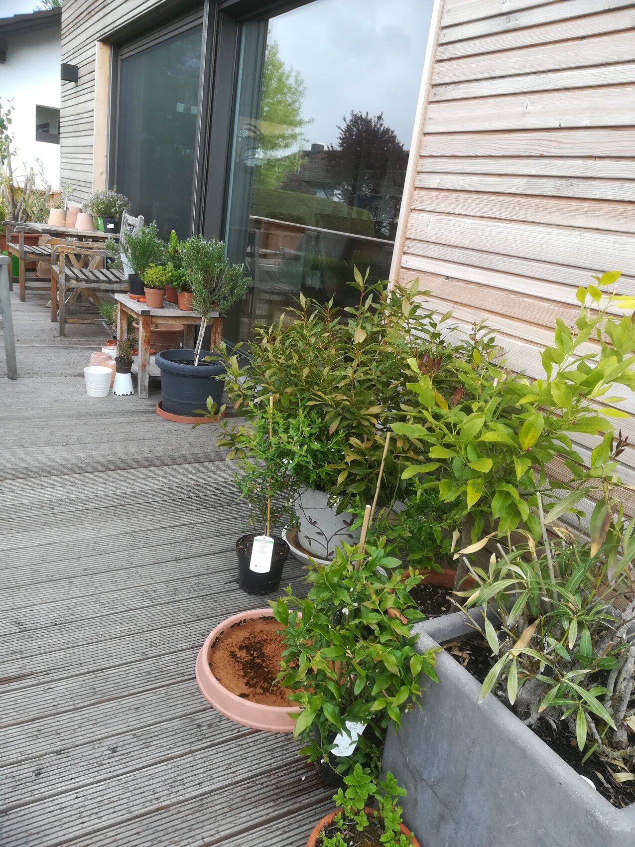 Terrace area with many potted plants in front of a wooden facade and glass front.