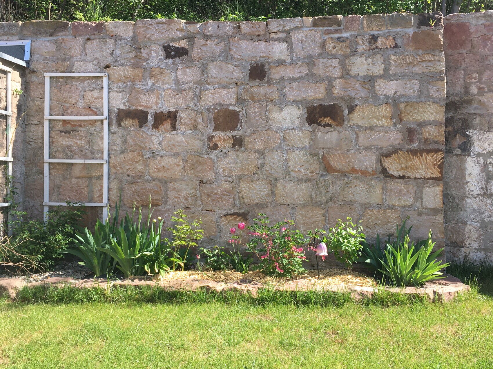 Stone wall in the garden with flower bed in front; ladder on the left, green plants and pink blossoms.