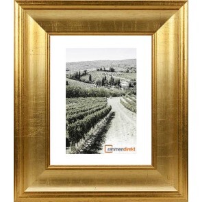 Photo of a vineyard with rows of vines and a path, framed in a golden frame.
