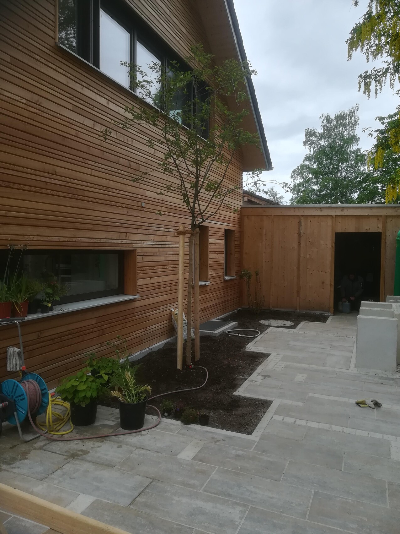 View of a wooden house facade, young tree with supports, planting bed, and garden hose.
