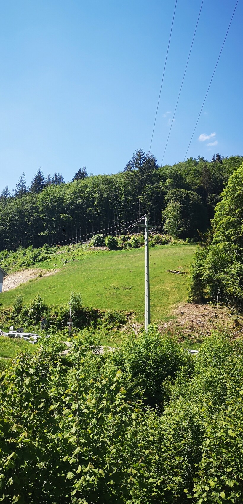 Rural landscape: hills, forest in the background, power pole with cables against blue sky