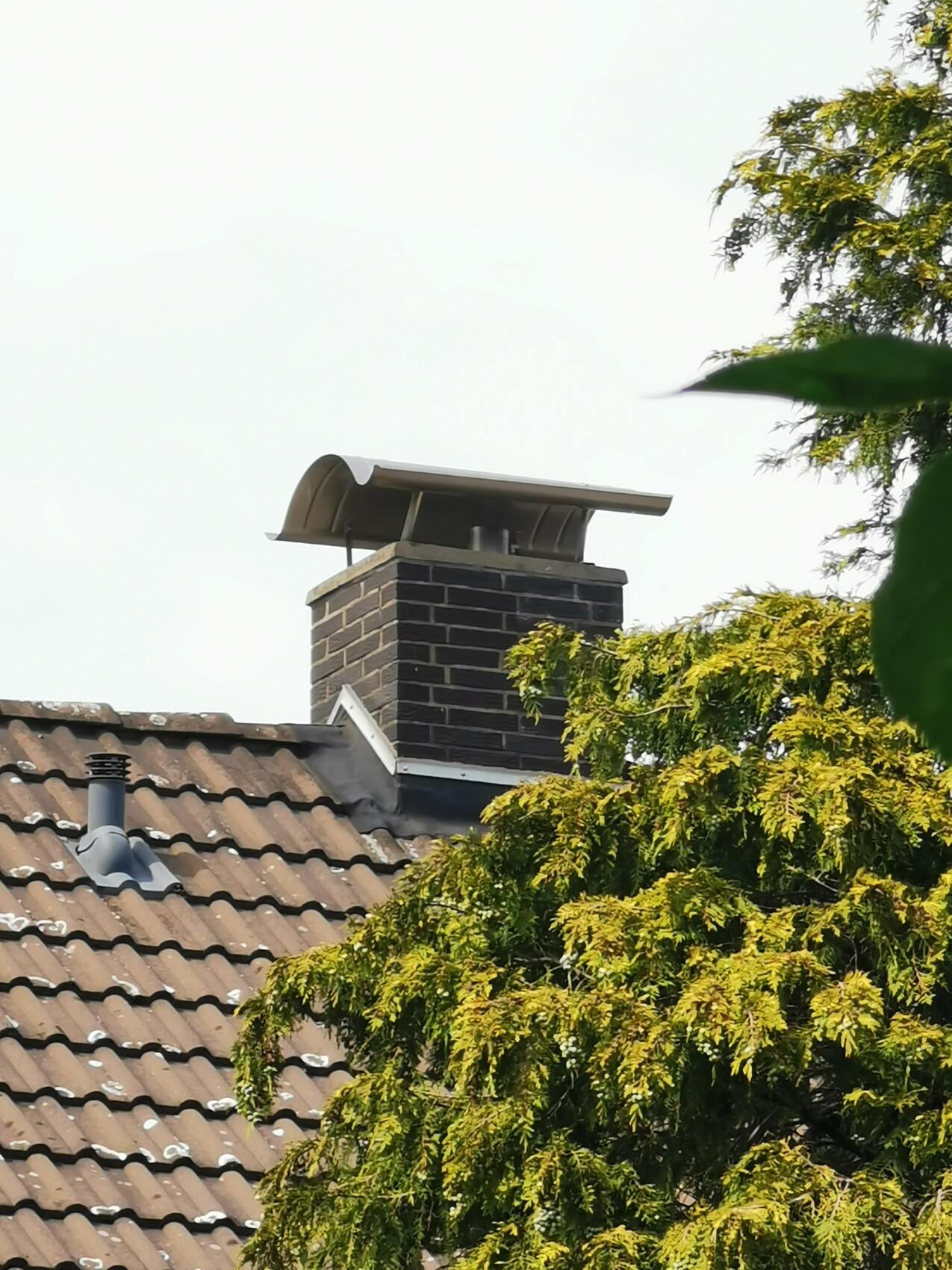 Chimney on tiled roof with green tree in the foreground