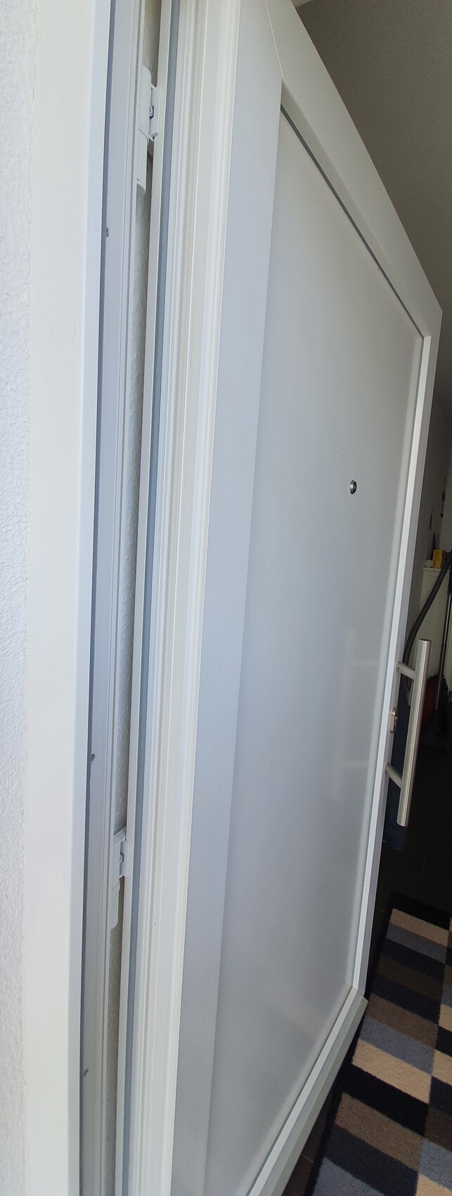 White front door in hallway, door viewer and handle visible; striped carpet in front.
